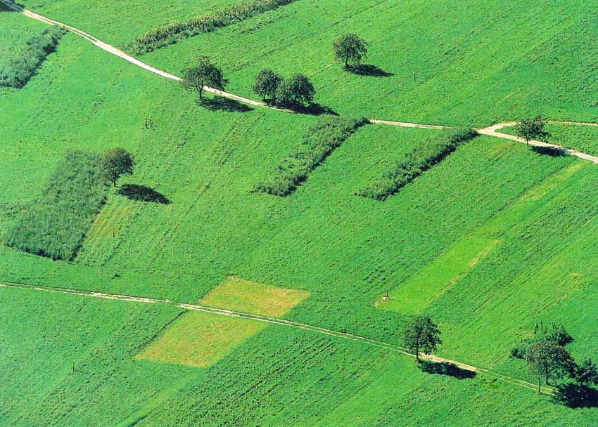 Piana della Dora presso Arnad.