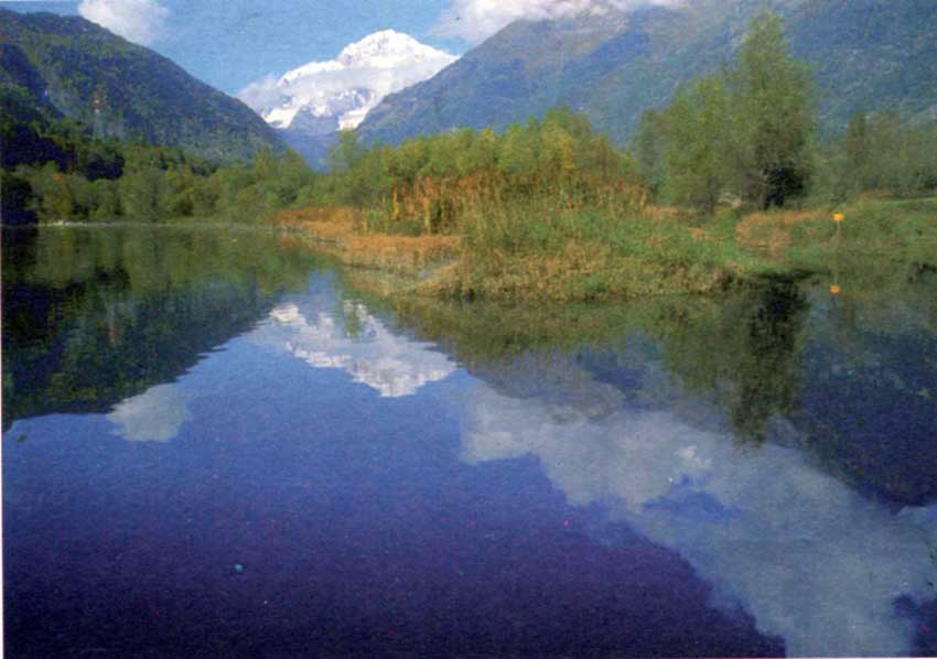 La Dora Baltea all'altezza della Riserva del Marais, sullo sfondo il Monte Bianco.