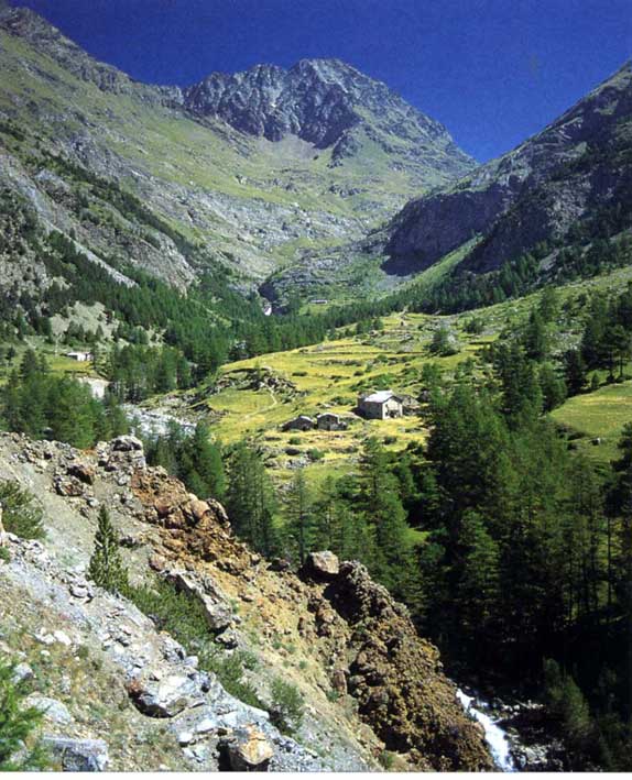 Sotto il sentiero per il Grauson, un costone di roccia alterata segna l'affioramento di un filone mineralizzato.
