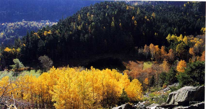 Il Lago di Lolair in autunno.