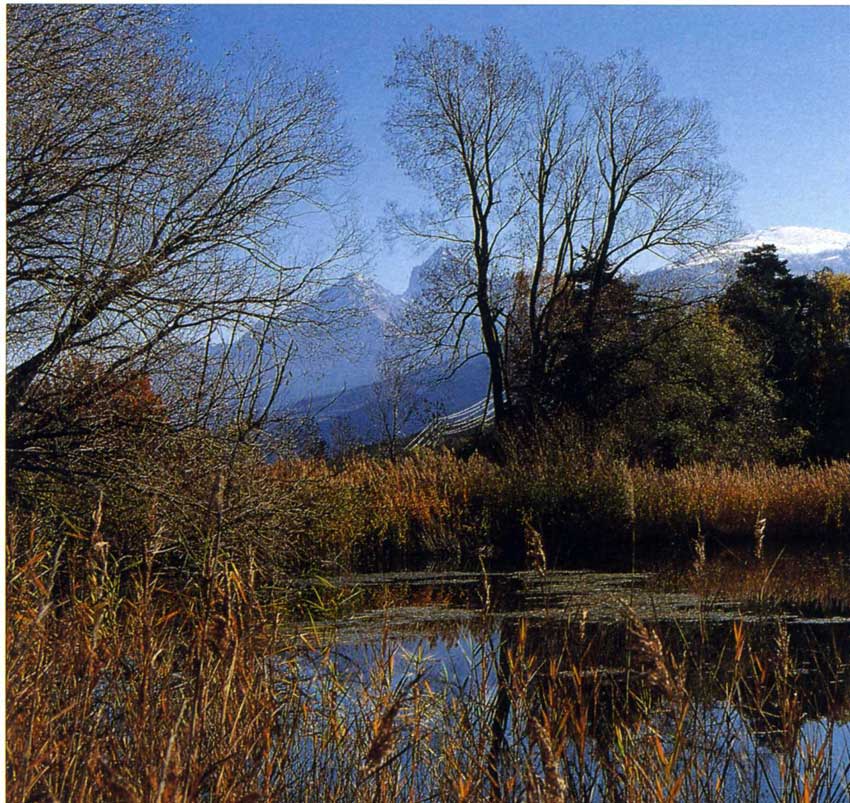 Canneto ai margini del lago.