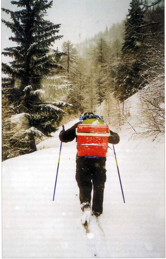 Semina di uova nel torrente di Vertosan (febbraio 1999).