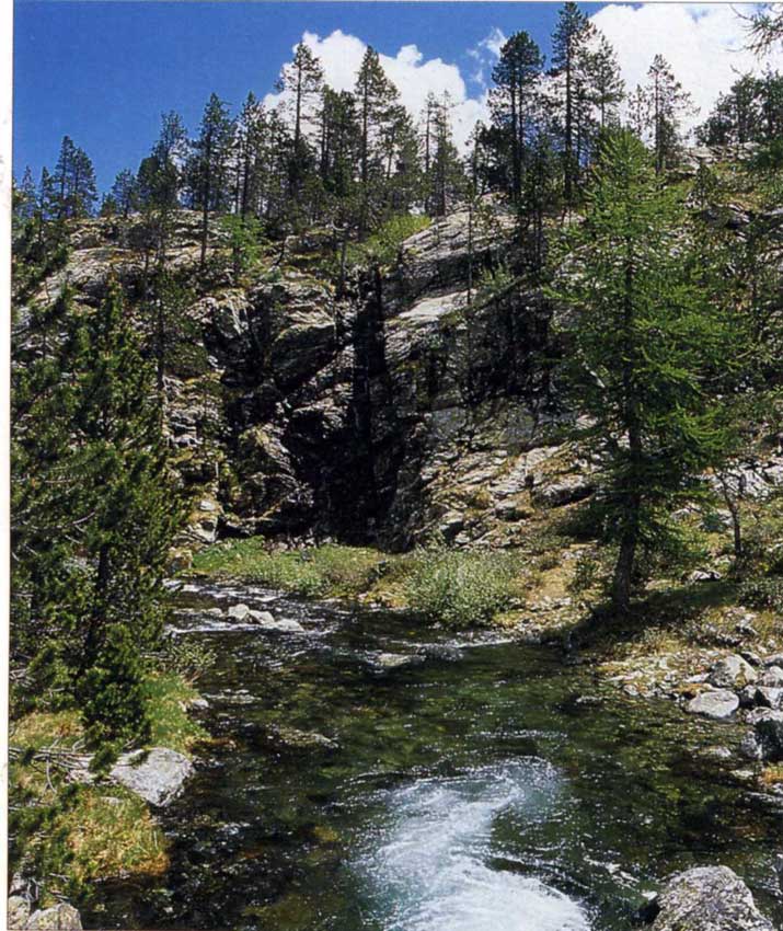Il torrente Chalamy imposta il suo percorso lungo un fascio di fratture verticali nei dintorni dell'alpe Bayet.