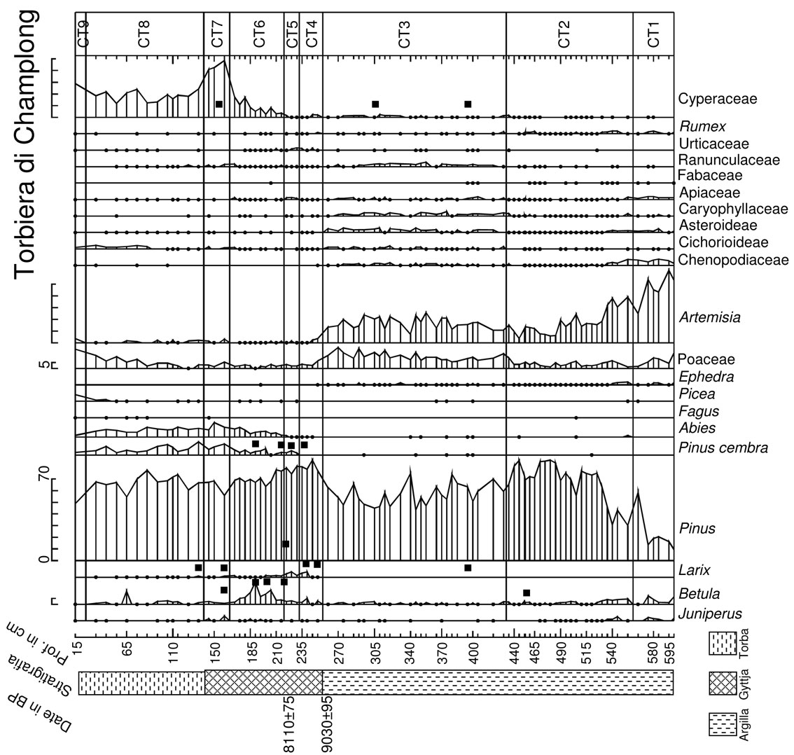 Figura 1: sequenza pollinica semplificata, il quadrato indica la presenza di macroresti - torbiera di Champlong.