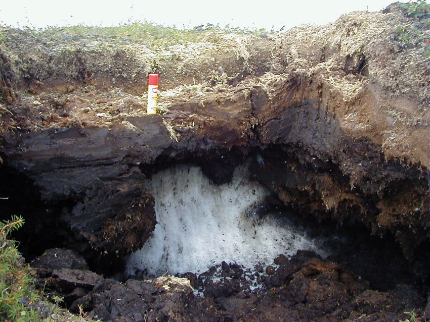 Figura 1: suolo a permafrost nella pianura siberiana (Labytnangi, Estate 2004).