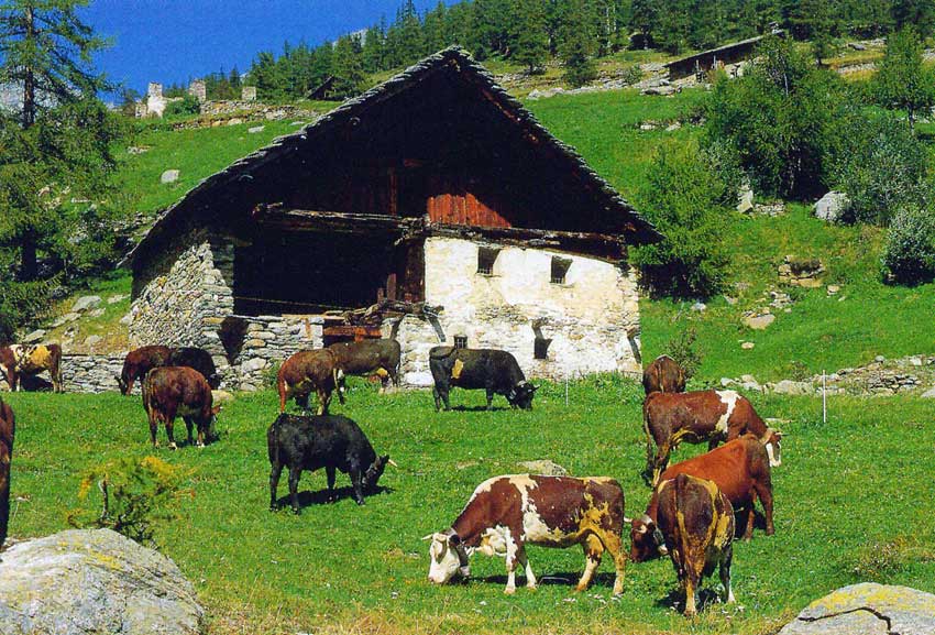 La Convention Alpine se propose d'intégrer les exigences environnementales et économiques.
