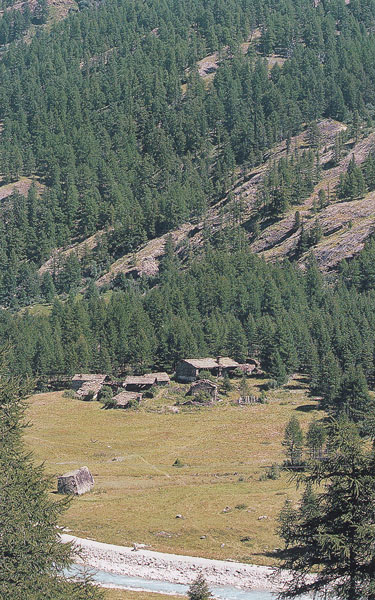 Vue du hameau de Pessey