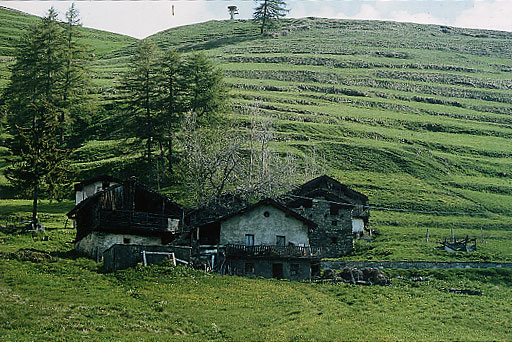 Caillaz (Chamois): un hameau implanté au pied des anciennes terrasses de culture.