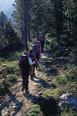 Escursionisti lungo un sentiero nel Parco del Mont Avic.