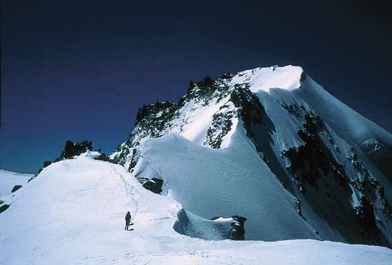 Alpinisti impegnati nella traversata Piccolo-Gran Paradiso.