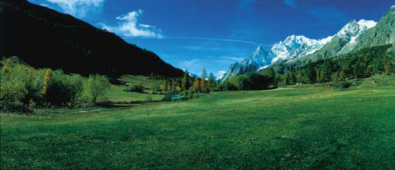 Gli ampi prati verdi della Val Ferret.