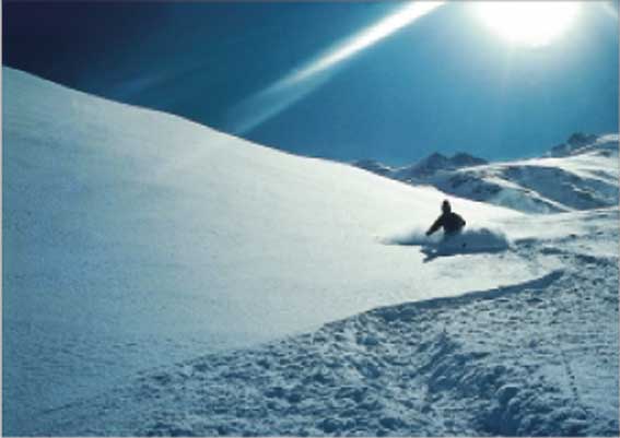 Discesa in neve fresca in Valgrisenche.