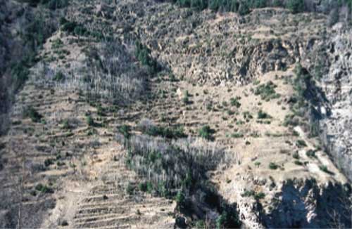 L'estensione degli incolti conferisce ai versanti un aspetto di desolazione e di abbandono.