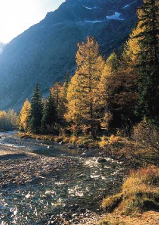 Uno scorcio autunnale della Val Ferret.