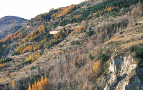 Uno scorcio autunnale della Val Ferret.