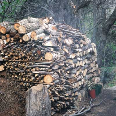 La legna, la più antica delle fonti di calore utilizzata dall'uomo.