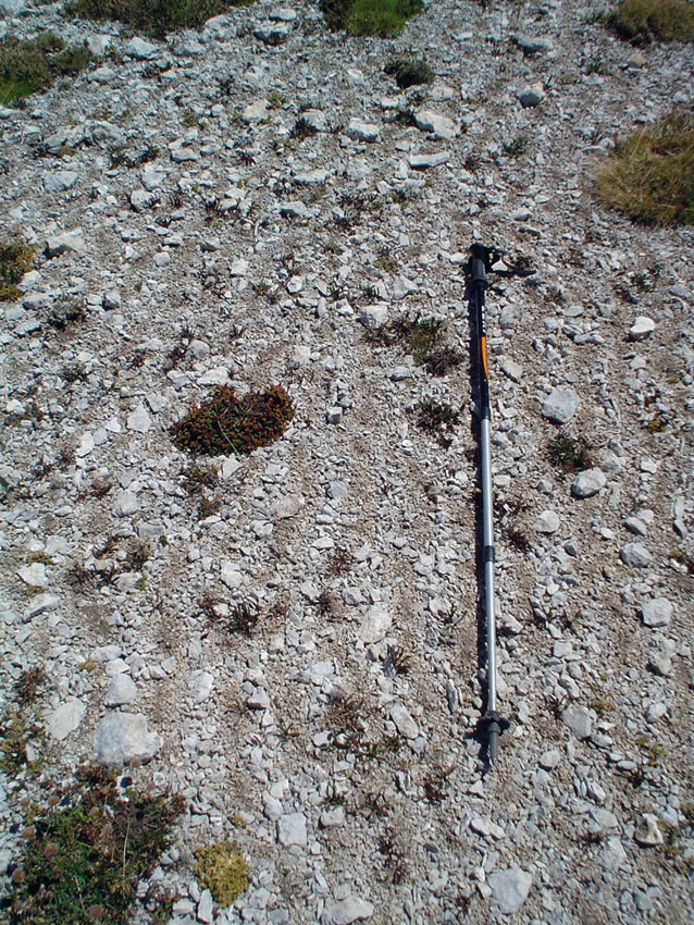 Figura 2: Sorted stripes nel sito LTER (Long Term Ecological Research Network) del Parco Nazionale della Majella (Estate 2007).