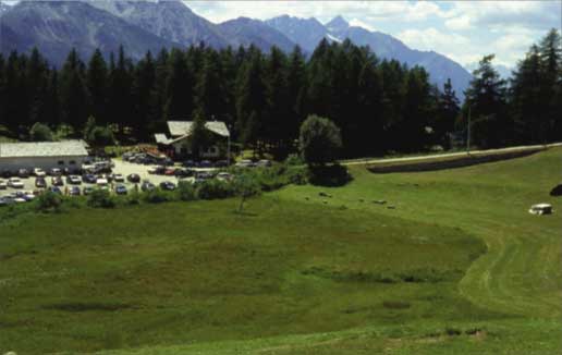 L'area palustre di Palud (Col de Joux) come si presentava nel 1997, prima degli ultimi interventi. La superficie era già ridotta alla metà di quella originaria.