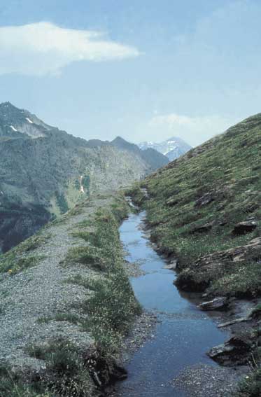 Ollomont: un tratto del Rû Neuf (foto concorso Carlo Lyabel).