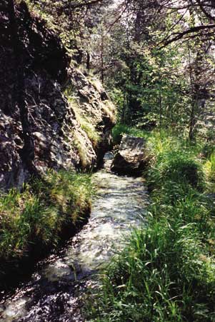 Portion du Ru Chevrère et Montjovet, dans la Commune de Champdepraz.