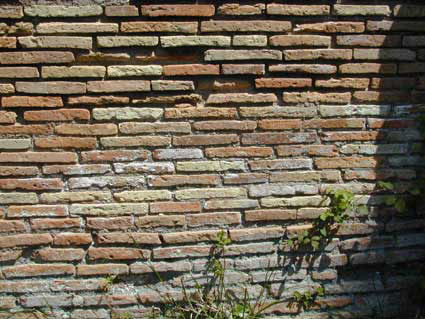 Ostia antica, impoverimento del muro in mattoni a causa di risalita capillare ed evaporazione; il fenomeno si evidenzia a metà della muratura, segno evidente che la risalita giunge fino a quell'altezza prima di evaporare trasportando con se sali e impoverendo la muratura con i cicli di dissoluzione delle malte.