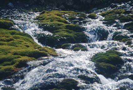 Il Torrente Malatrà in Val Ferret. (Foto concorso di Maurizio Fonte)