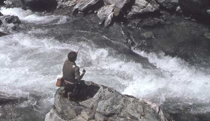 Pesca a mosca sul torrente impetuoso.