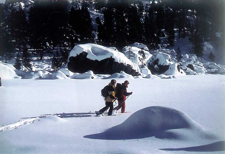 Racchette da neve nel Parco del Mont Avic.