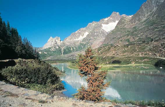 Il Lago Combal,in Val Veny (foto Mirco Pasin).