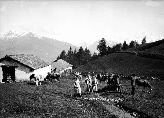 Gressan 1899: enfants bergers avec les vaches.