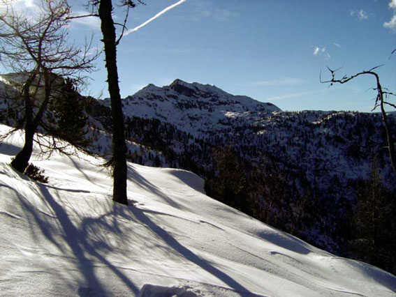 In alta montagna la neve permane al suolo per numerosi mesi all'anno, condizionando in maniera fondamentale la vita animale e vegetale.