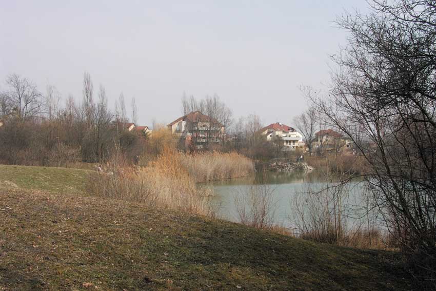 Détail du Parc de Bruchet (hiver), espace en gestion semi-extensive. Les pairies et alignements arborés ou arbustifs sont en classe IV, l'étang et ses berges à roselières sont en classe V.