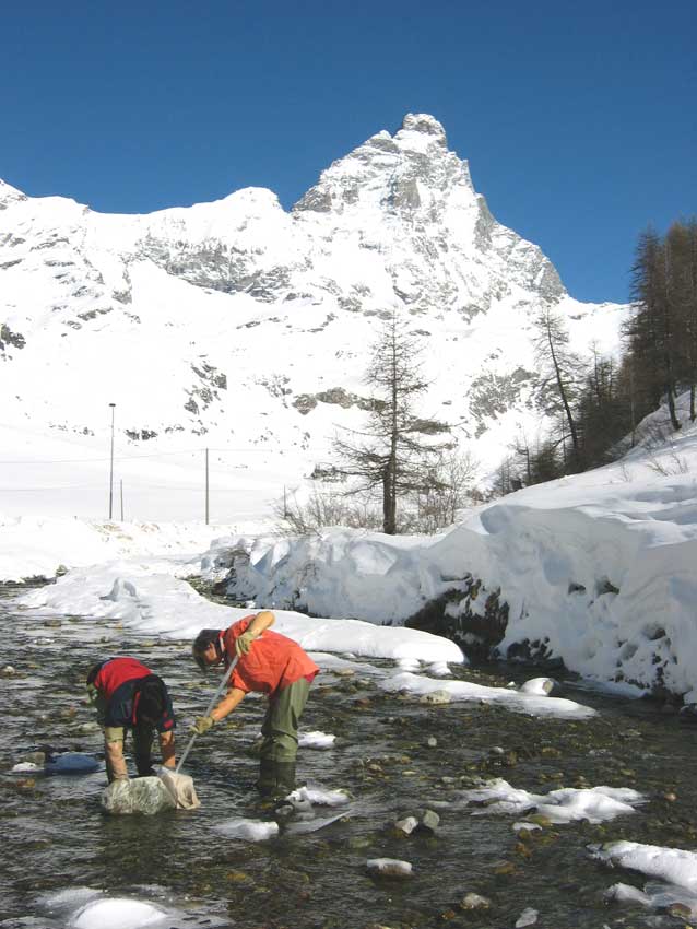 Campionamento di Macroinvertebrati.