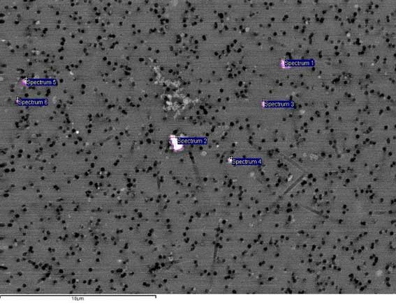 Figura 6(a), immagine di una porzione di filtro vista al SEM. Sono evidenziate in bianco le particelle di cui si è effettuata l’analisi chimica elementare.I puntini neri sono i fori del filtro.