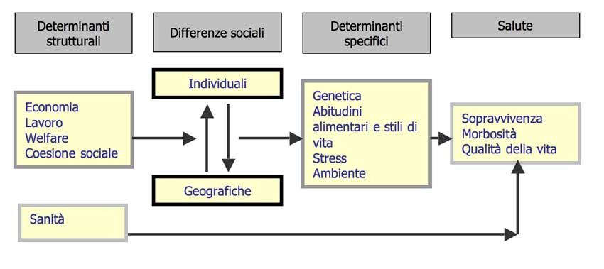Figura 1, schema concettuale delle relazioni tra determinanti della salute.