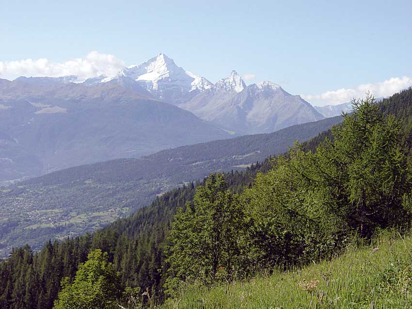 L’inconfondibile piramide della Grivola domina il Centro Valle.