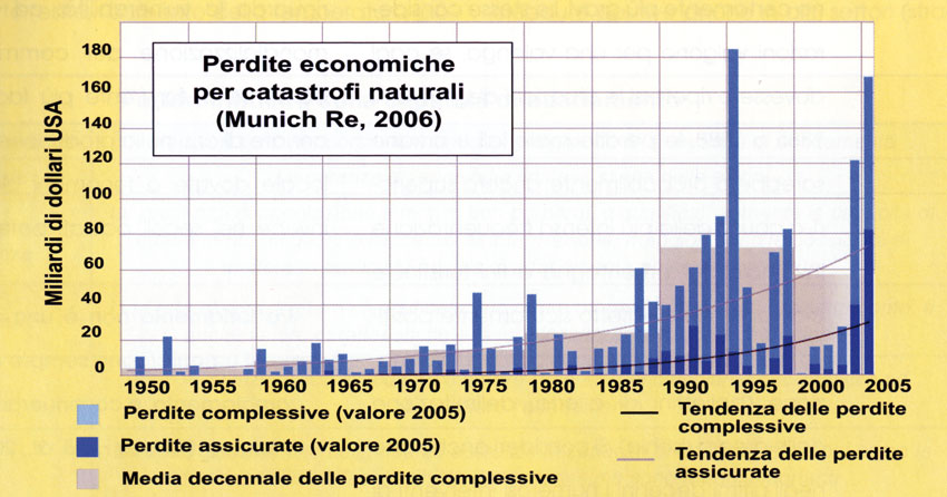 Grafico 2: andamento delle perdite 