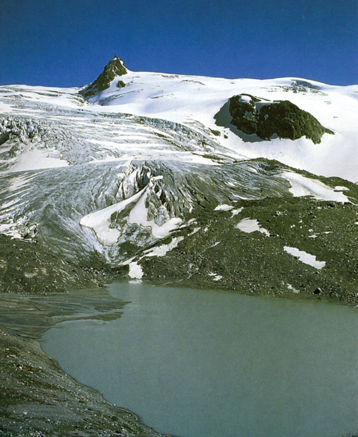 Quattro millenni fa il ghiacciaio del Ruitor non esisteva e al suo posto vi era un lago poi trasformatosi in torbiera ed ora ricoperto dalla coltre glaciale. Ogni tanto, però parti di quella torba vengono trascinati dai movimenti del ghiacciaio fino alla fronte. Essa fornisce un prezioso materiale di studio per conoscere il passato delle nostre montagne.