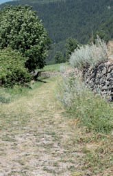 La strada che, dall’abitato di Saint Oyen, giunge in vista del borgo di Etroubles.