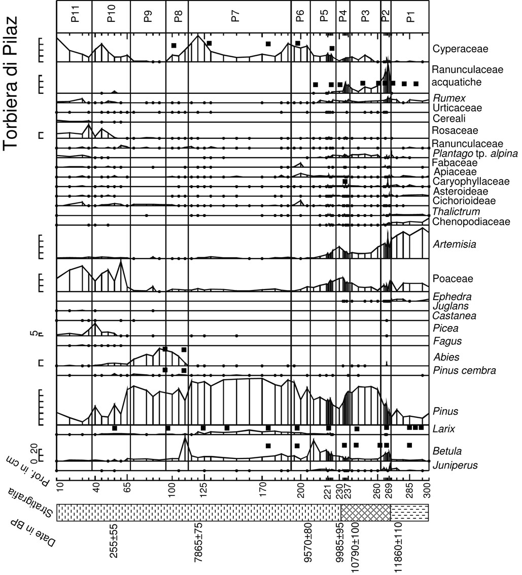 Figura 5: sequenza pollinica semplificata, il quadrato indica la presenza di macroresti - lago di Champlong.