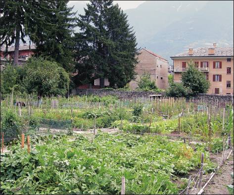 Vue du jardin vers la rue Malherbes.