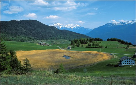 Vista generale di Lozon.