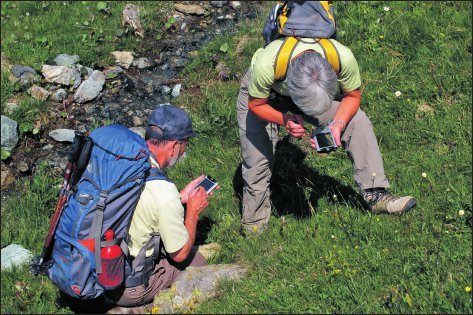 Identificazione della flora vascolare con l’uso delle chiavi elettroniche “Key to Nature”