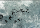 fase iniziale di formazione della criocronite sulla superficie del Ghiacciaio di Indren. Il colore scuro è l'elemento che determina il progressivo approfondimento della matrice fine sulla superficie del ghiaccio.
