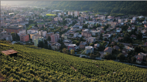 uno scorcio di Martigny e dei suoi vigneti.