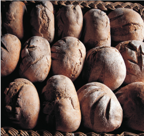 pane appena sfornato.