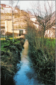 La Mère des Rives