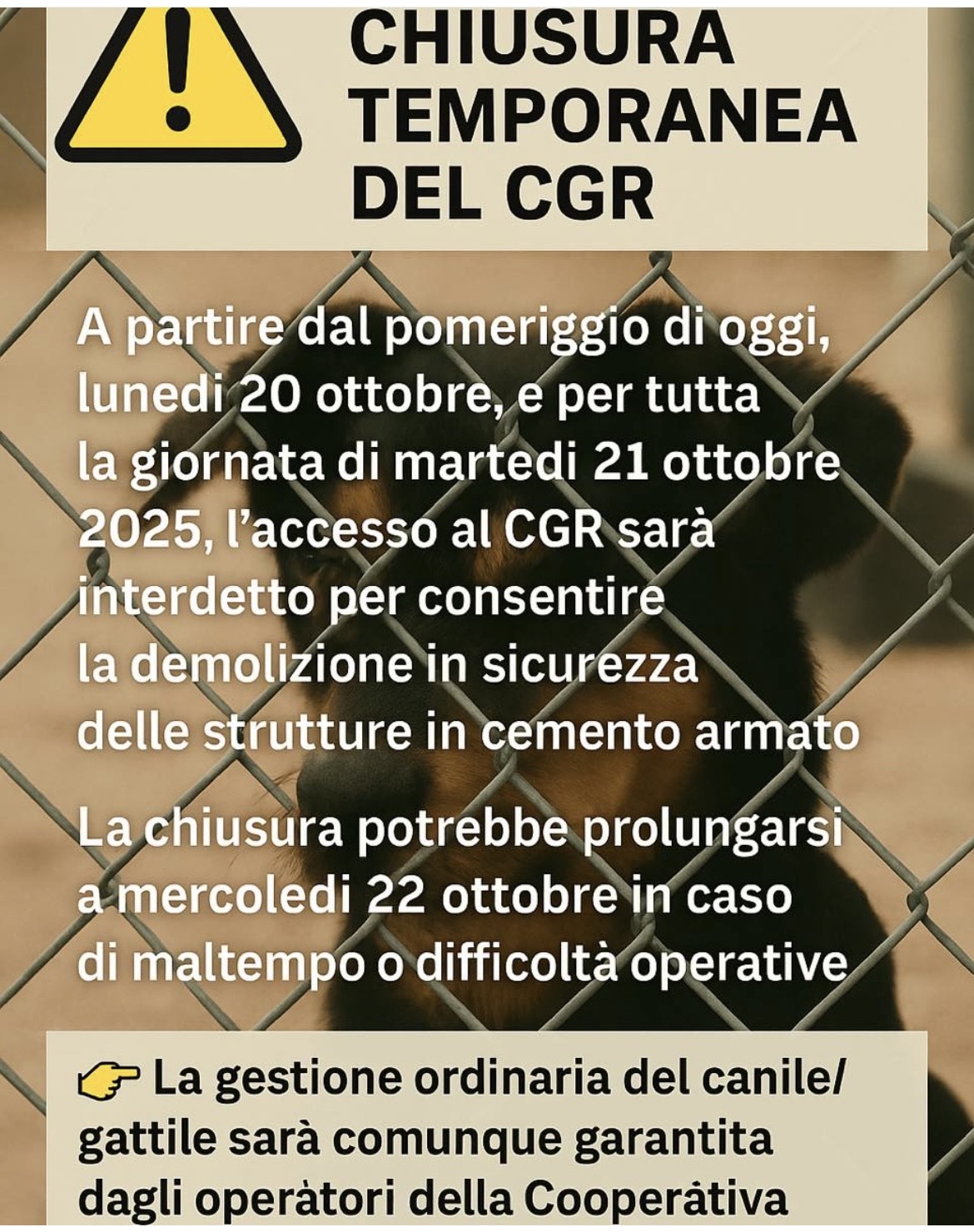 chiusura temporanea canile