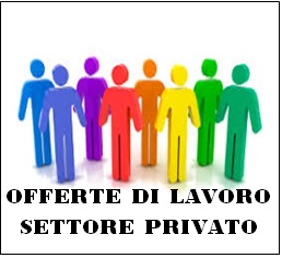 Offerte di lavoro settore privato