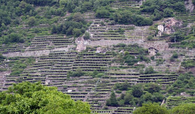 Pont-Saint-Martin et Donnas : terrasses.